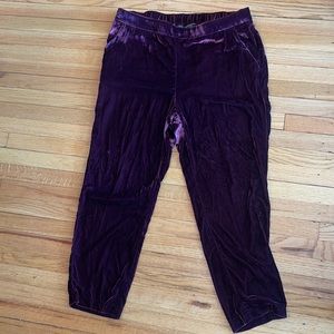 EUC Banana Republic dark red velvet Hayden pants L (10-12)